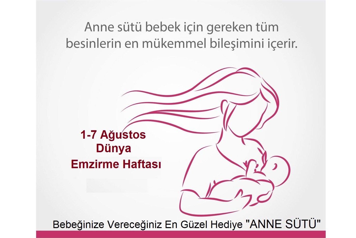 DÜNYA EMZİRME HAFTASI
