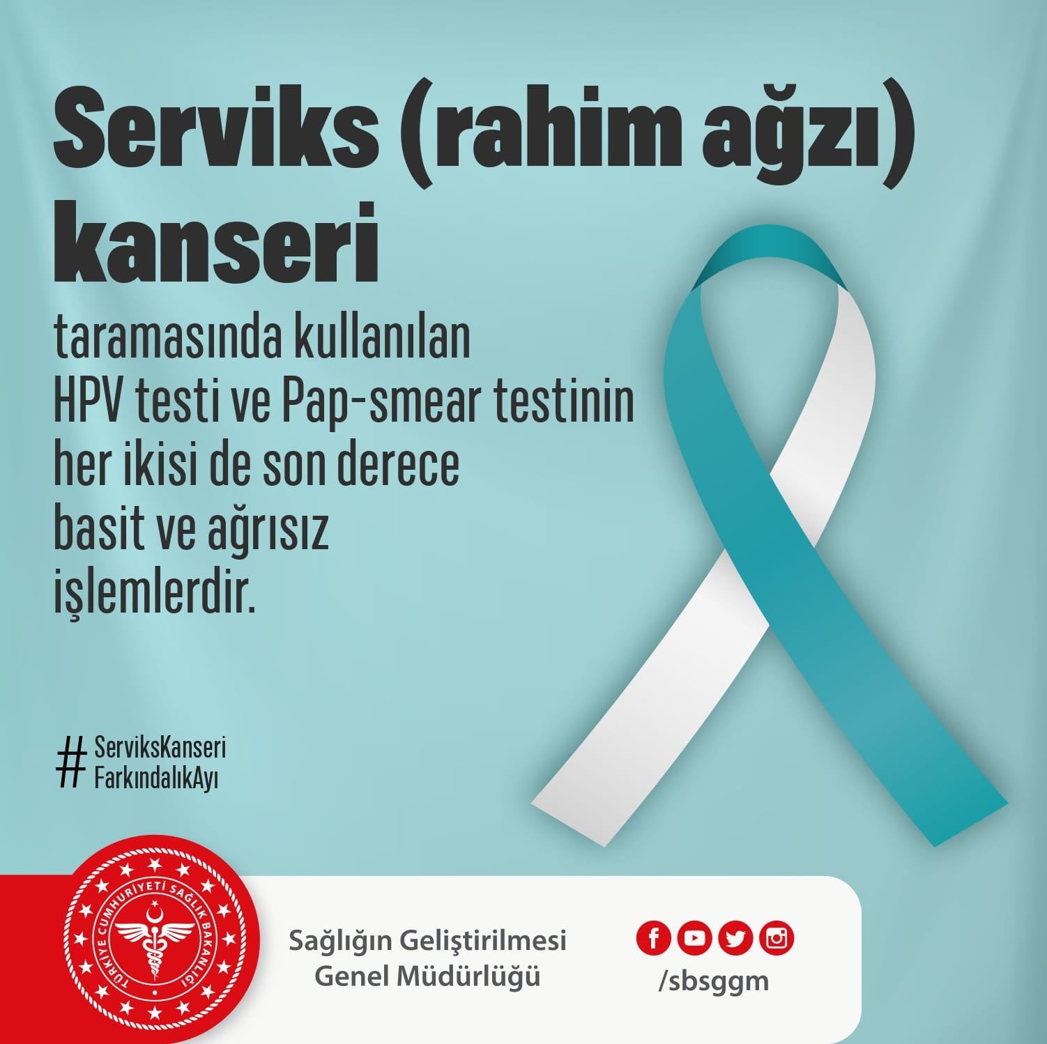 ASM Websitesi
